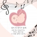 이엘피아노음악학원