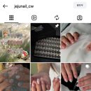 혼저옵서예네일