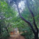 동명어린이공원 이미지