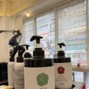 수헤어 | 부천미용실 유목민이라면 정착할 수 있는 보그헤어 상동점 알씨투 클리닉 후기