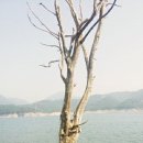 명구농장 이미지