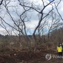 우리조경 이미지