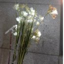 증산초등학교 이미지