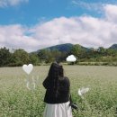 맹개마을체험휴양마을 이미지