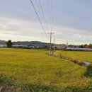 유기농라이프 이미지