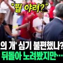 [현장] '윤석열의 개' 심기 불편했나? 이종섭 뒤돌아 노려봤지만..."뭘 야려!" 이미지