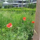 우시장천 이미지