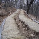 삼포농장 이미지