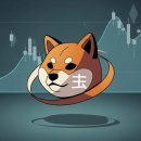 무풍시장 이미지