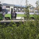 stov(스토브) 이미지