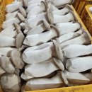 생극농장 이미지