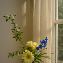 오브제-꽃과빛 이미지