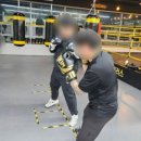 더플러스 복싱 | [운동] 옥정동복싱 찾다가 등록한 펀치플러스 복싱 실제이용 후기🔥