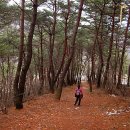 송림마을민박 이미지