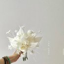 올로르플라워OlorFlower