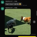 멍멍아학교가자 (대곡점) 이미지