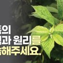 정통 호흡 요가 이미지