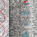 수도암신라비 이미지