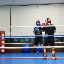 태호멀티짐 이미지