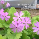 한배미길 이미지