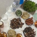 풀솜할머니 이미지