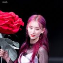 보고싶은 엘리누나💝🌹🦊 #187 이미지