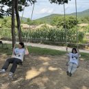 병사댁 | [아산] 외암민속마을 병사댁 1박2일 촌캉스 숙소 후기 필수 준비물 총정리