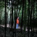 숲소리마을 이미지