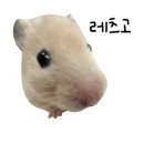 🎩 뮤지컬 매드해터 개막주 4번보고 온 후기