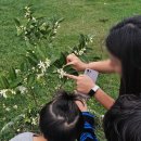 나무이야기민박 이미지