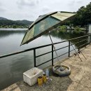 장기낚시터 | 민물낚시파라솔 여름 내내 써본 내구성 비교 후기