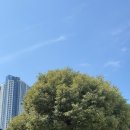 춘하추동밀면 | 부산 춘하추동 밀면 후기: 엄마 입맛은 까다로와…