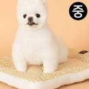 도그365 쇼핑하우