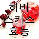 항산화, 체지방 감소에 좋은 라오스 히비스커스의 효능 이미지