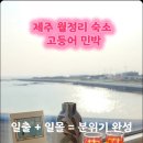 또올펜션민박 이미지