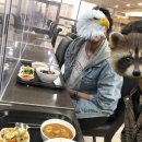 세종라이프