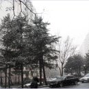 신갈마로 이미지