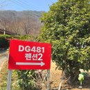 DG481펜션 이미지
