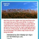 오늘의양식 네이버블로그