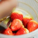 부여사랑마트 | 고향사랑기부제 부여군 답례품 딸기, 10만원 기부하고 롯데리조트 당첨된 솔직후기 (세액공제 꿀팁)