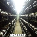 김창기머쉬룸팜 이미지