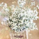 여주-0704 이미지