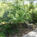 김삿갓면-0 이미지