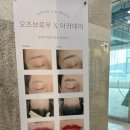 오즈브로우아카데미 네이버블로그