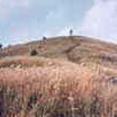 큐노래방 이미지