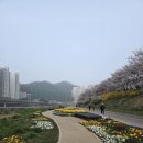 4일 안양천 !!! 이미지