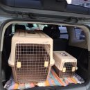 486펫콜 경남 김해점 이미지