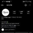 오퍼스홀 이미지