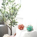 런드리 솔 이미지