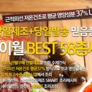 네이월 펫푸드 네이버블로그